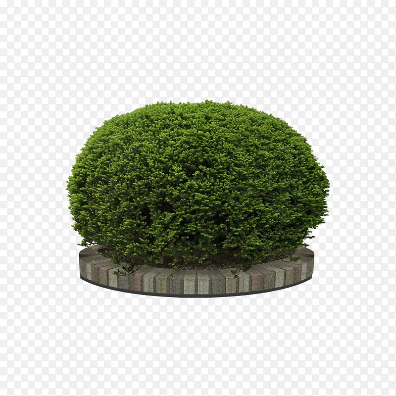 ��-������