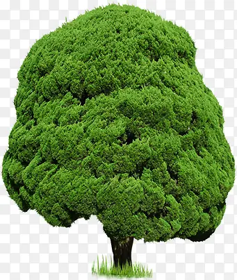 ���쾰��Բ�δ���-������