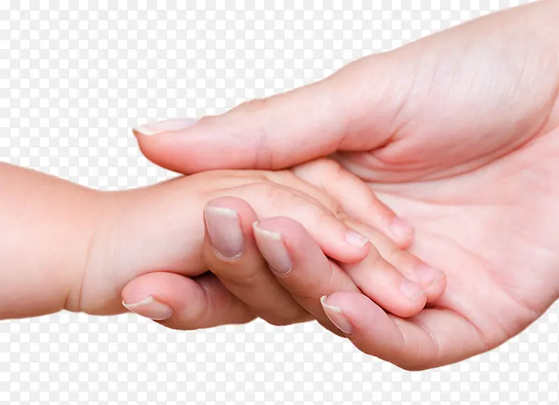 ĸ��Ӥ����ǣ��-������