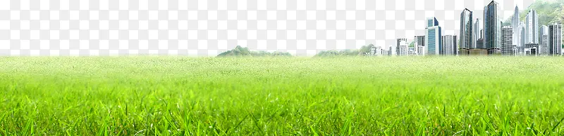 ��ɫС��-������