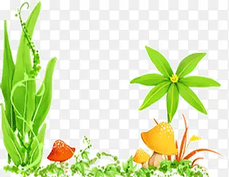 С��Ģ��װ��-������