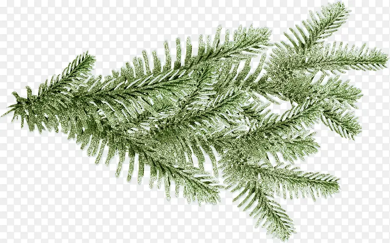 ����֦ ���� װ��  ����Ȼ ��ɫ-������