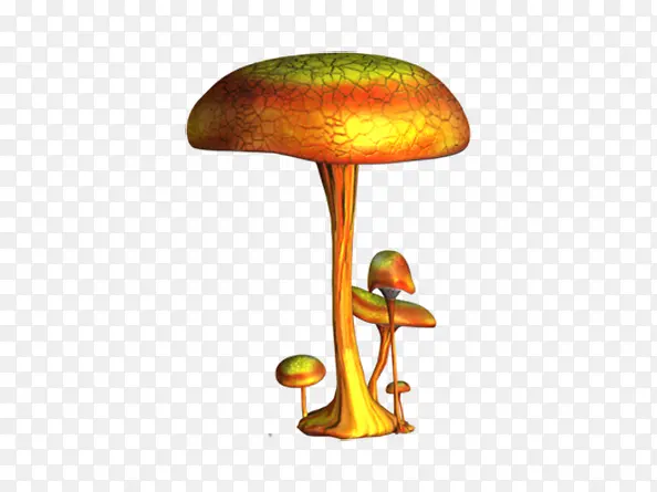 ��ͨ�ɰ�Ģ��ͼƬ-������