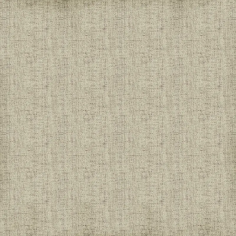 �鲼֯�ﱳ������-������