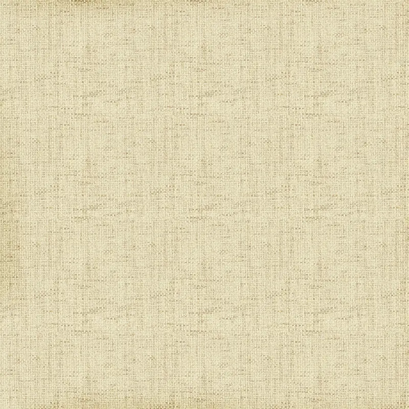 ���Ʊ�������-������