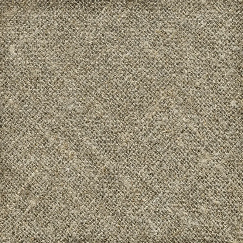 �����鲼��������-������