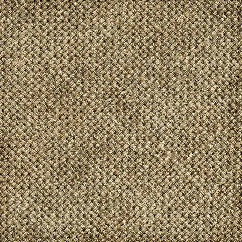 �鲼�������Ʊ���-������