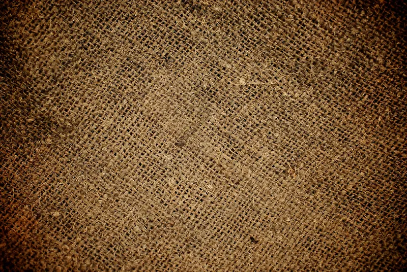 �鲼��������-������