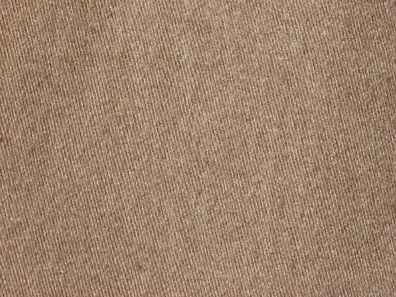 �鲼��������-������