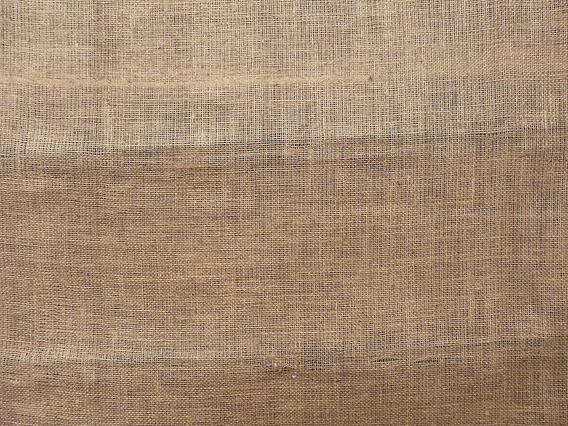 �鲼��������-������