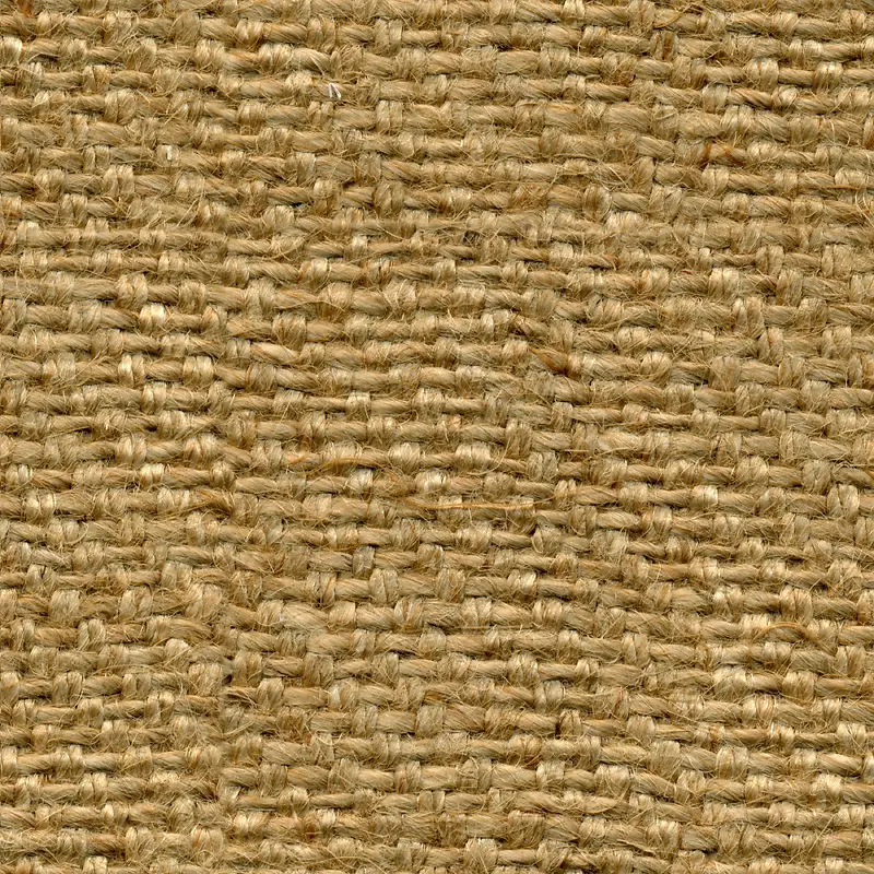 �鲼�ֲ�����-������