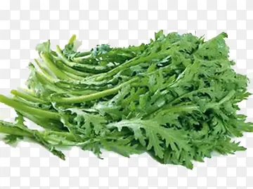 ��ɫ�߲�-������