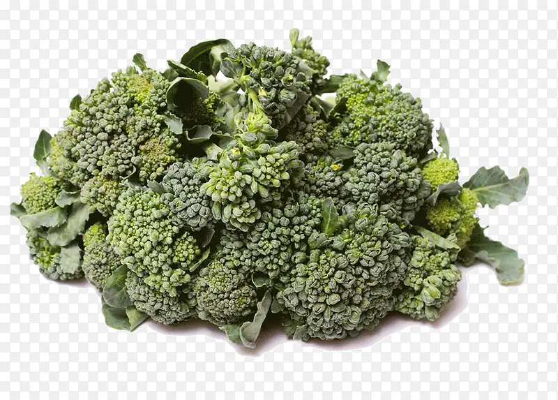 ��ɫ��������-������