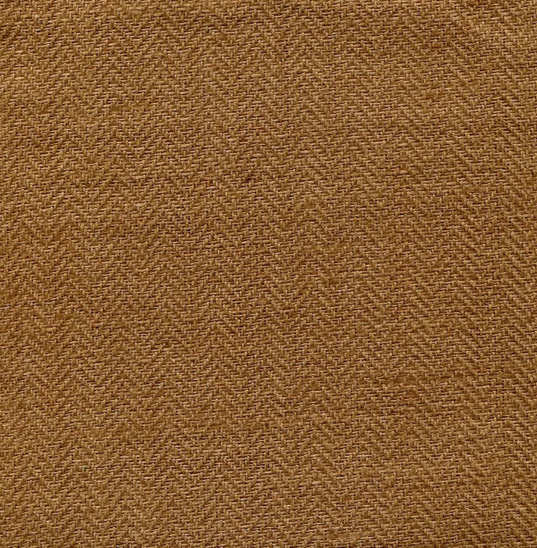 �鲼֯�ﱳ��-������