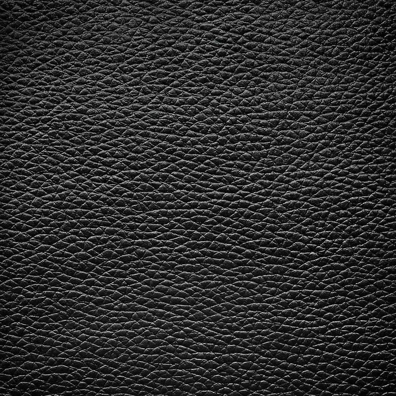 Ƥ����·����-������