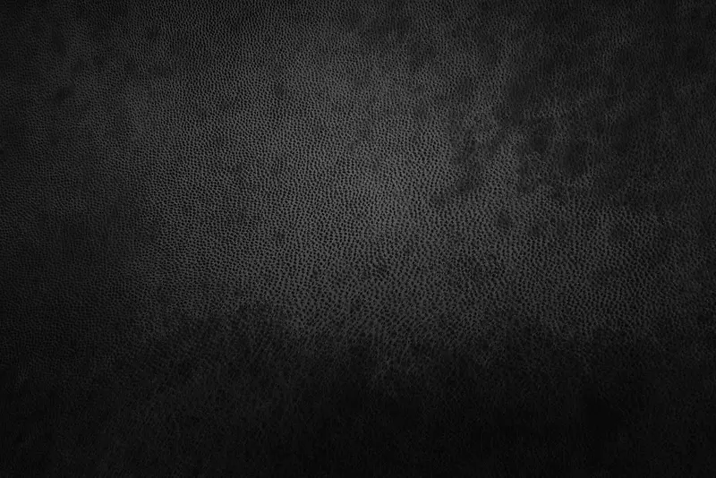 ��Ƥ���ϱ���-������