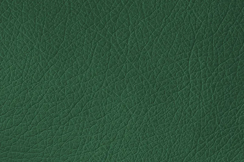 ��ɫƤ�ﱳ��-������