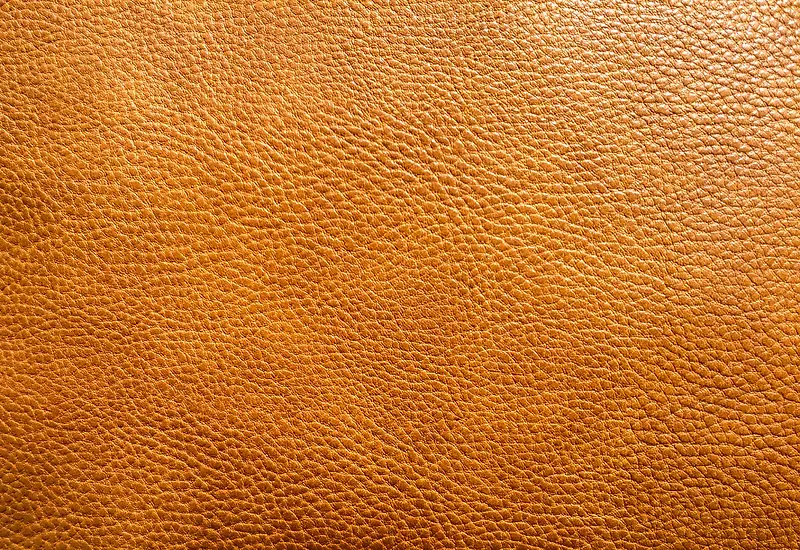 ����Ƥ����·����-������