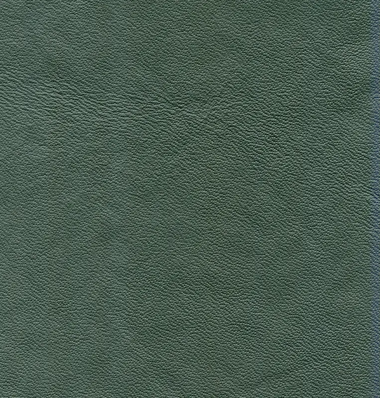 Ƥ�����ϱ���-������