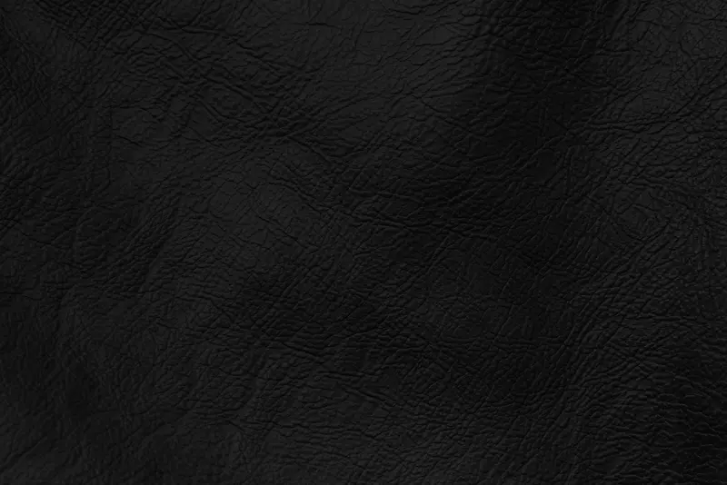 ��Ƥ���ϱ���-������