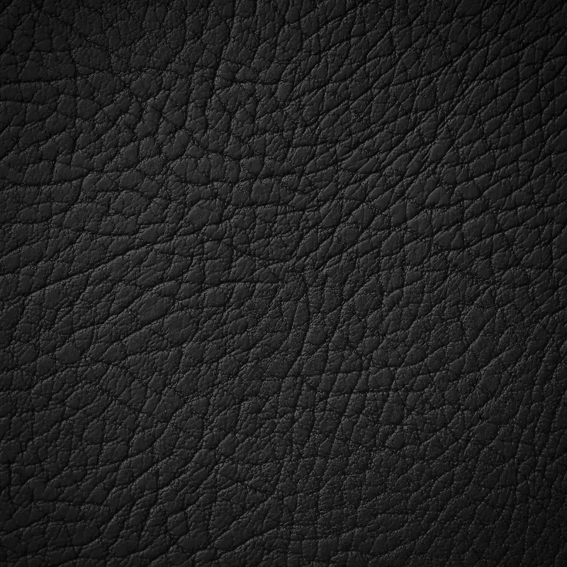 Ƥ�ϲ��ʱ���-������