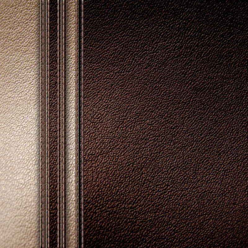 ��ߵ�Ƥ�ﱳ��-������