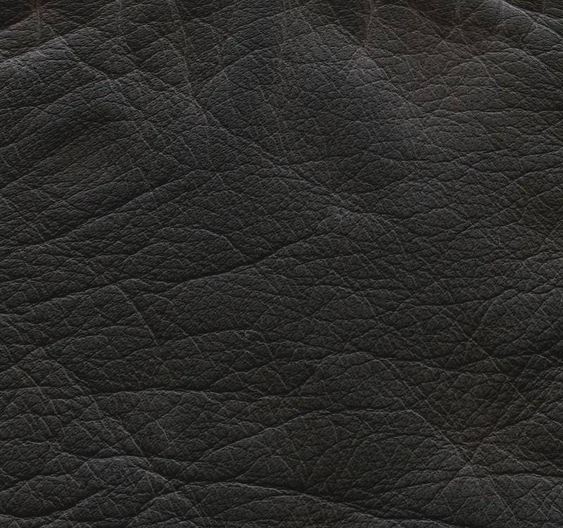 ��ɫƤ�ﱳ��-������