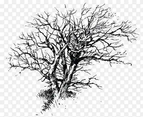 ����-������