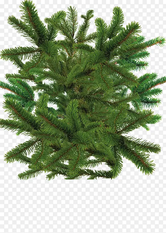 ʥ�����ز�-������