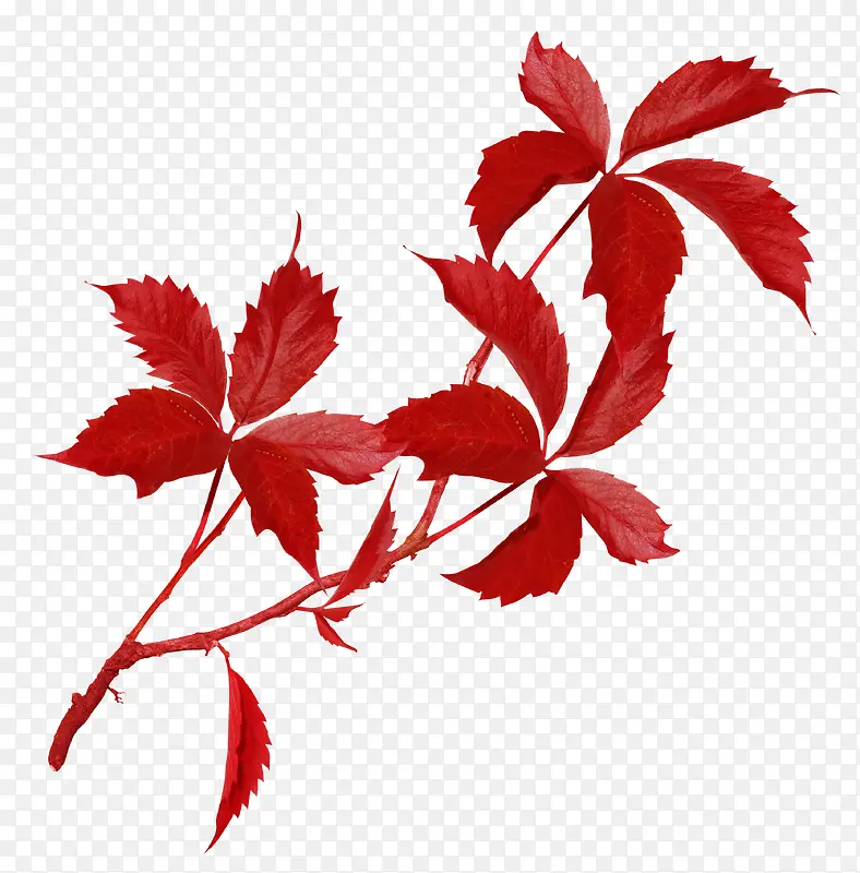 ����-������