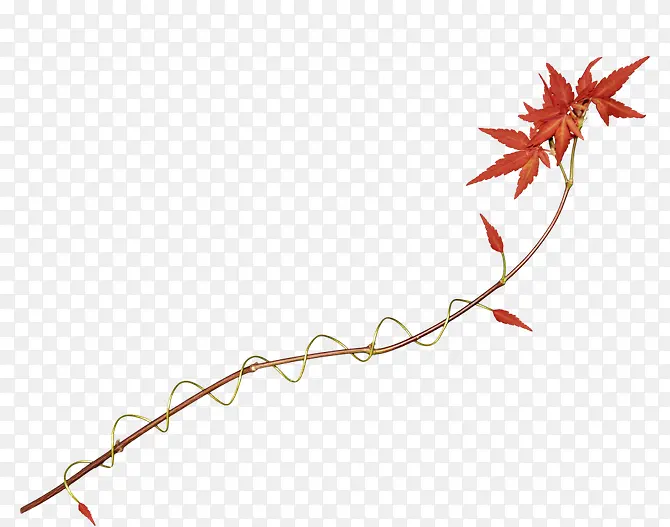 ��Ҷ-������