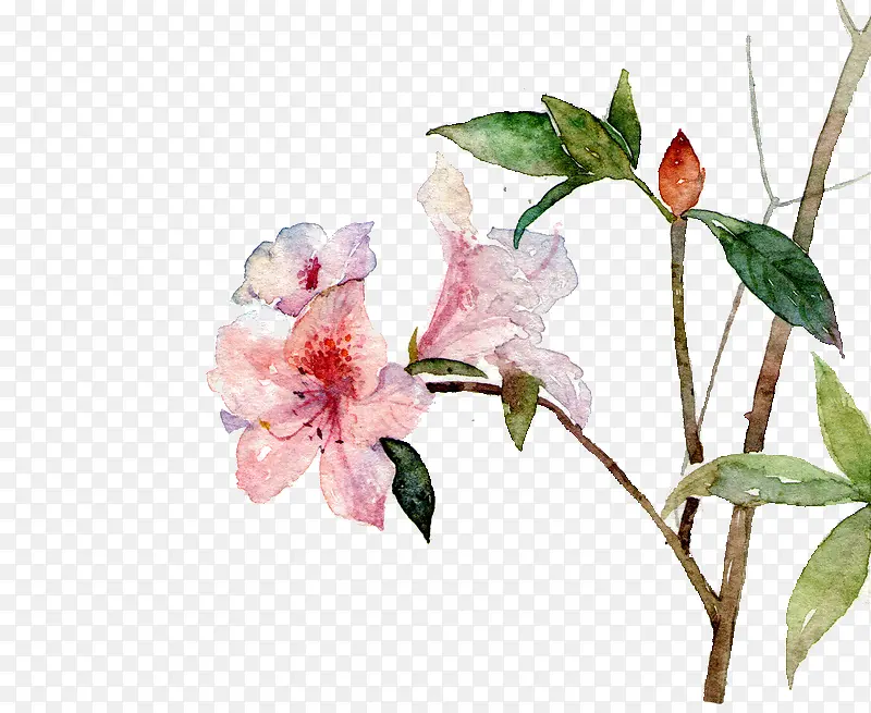 �컨��ɫ��֦ӣ����-������