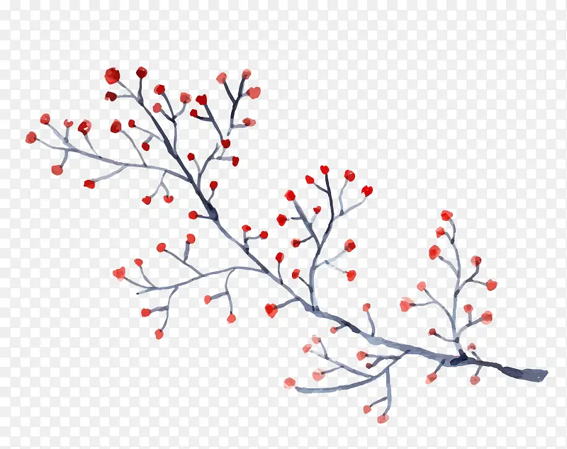 ��֦�ϵĺ컨-������