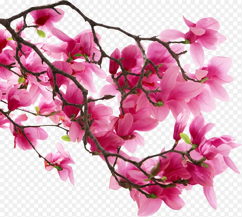 ����-������