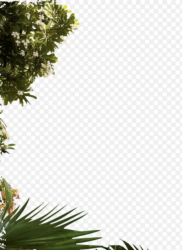 װ����֦��Ҷ-������