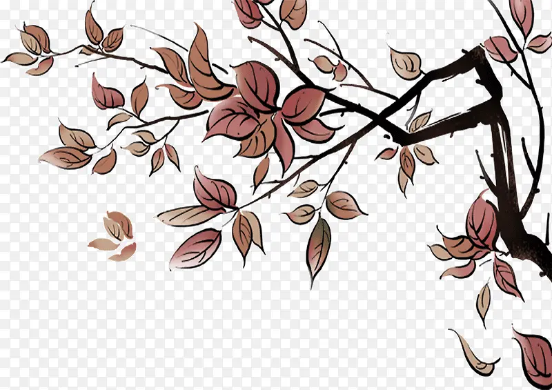 �＾��Ҷװ��-������