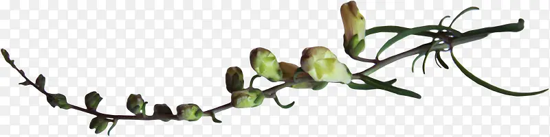 ��Ҷװ��-������