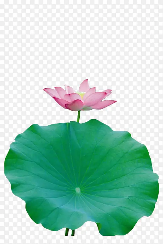 ����˵�ɻ�-������