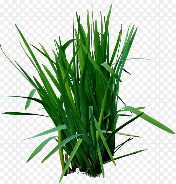 С�������ϳ���Ӱ-������