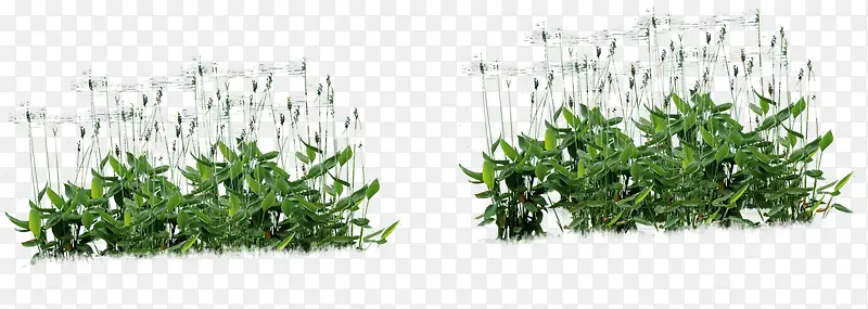 ���崴����Ӱ�ϳ�Ч��С��-������