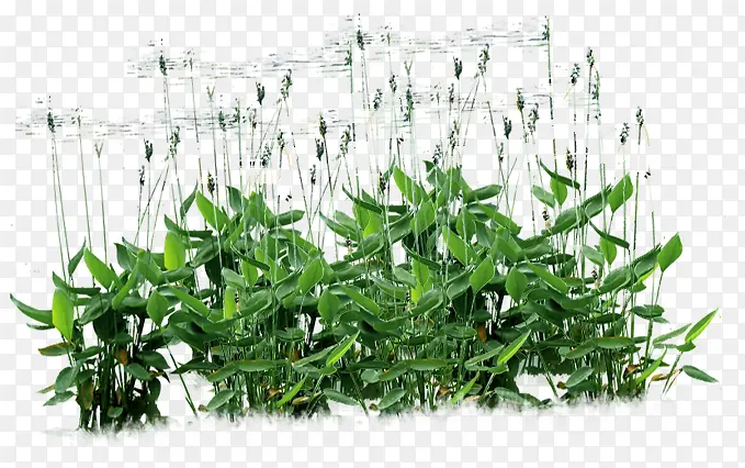 ��Ӱ����С��ϳ�-������