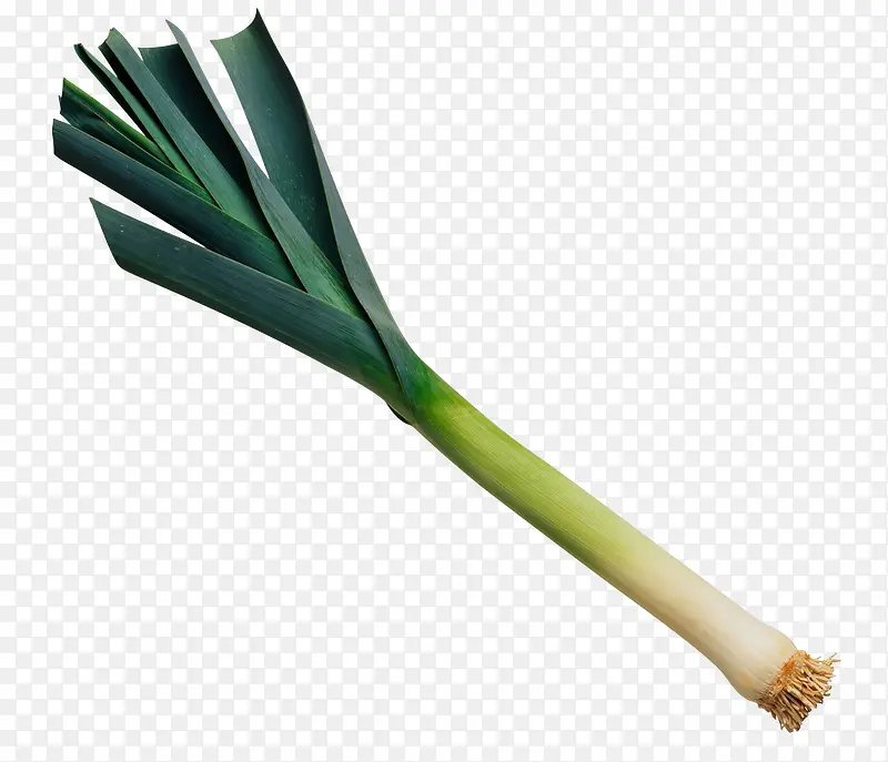 �߲˴��-������