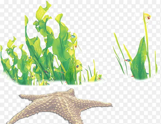 ���Ǻ���-������