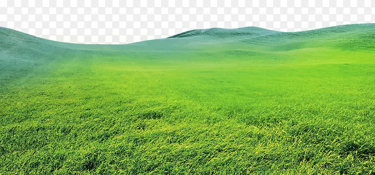 �̲ݴ�ɽ��������-������