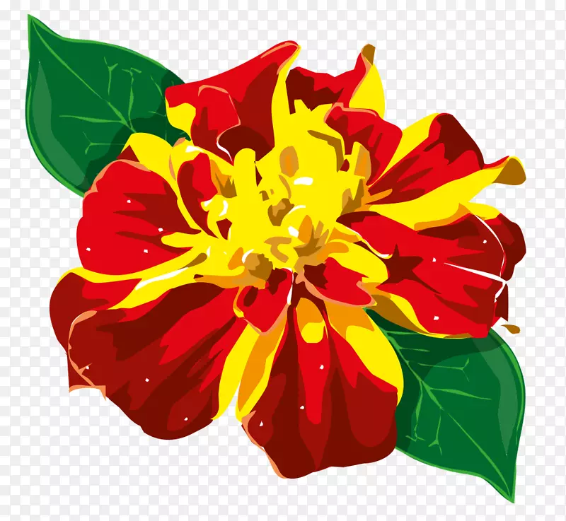 �л�����-������