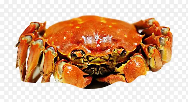 ��Ʒʵ����ɫ��բз-������