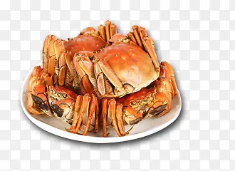 ��Ʒʵ����ɫ��բз����-������