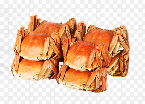 ��Ʒʵ����ɫ��բз-������