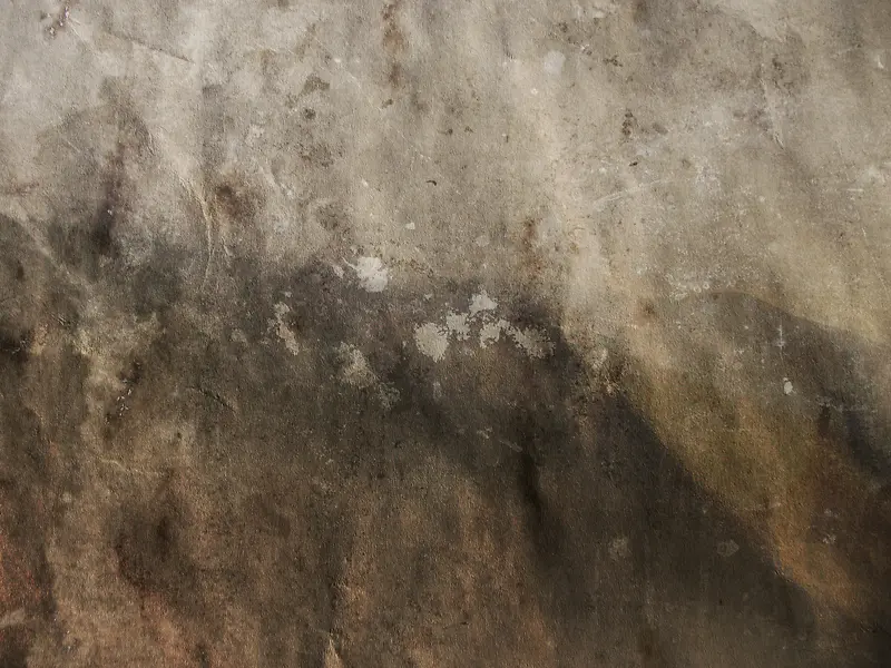 ����ֽ����������-������