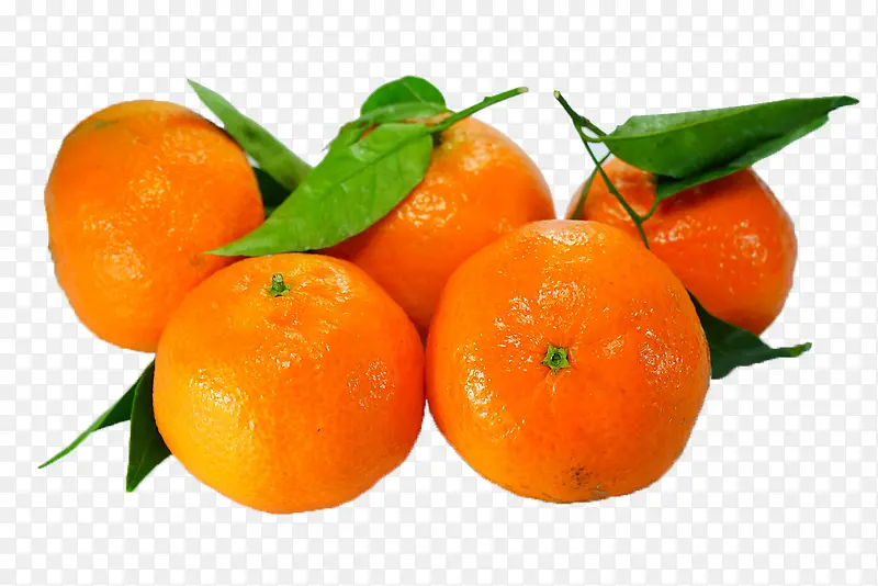 ˮ������-������